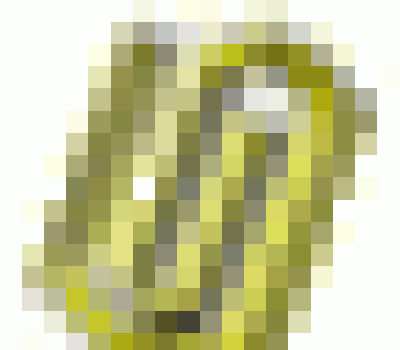 <b>设计院加盟分公司合同模版</b>