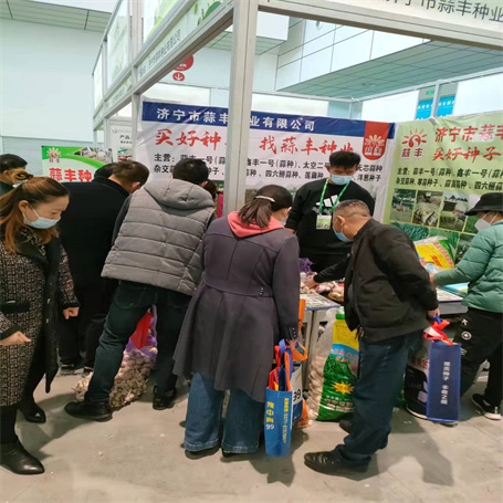 鑫丰三号 鑫丰三号