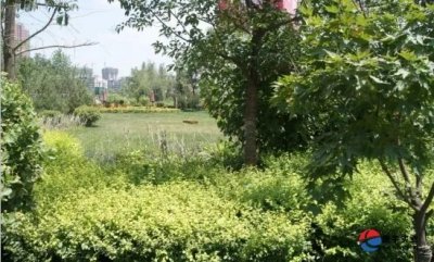 <b>春暖花开丨信宇腾远西安公司组织开展春游活动</b>